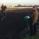 Dr Gary Swift out at Rosehill trackwork